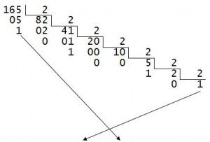 fig-1